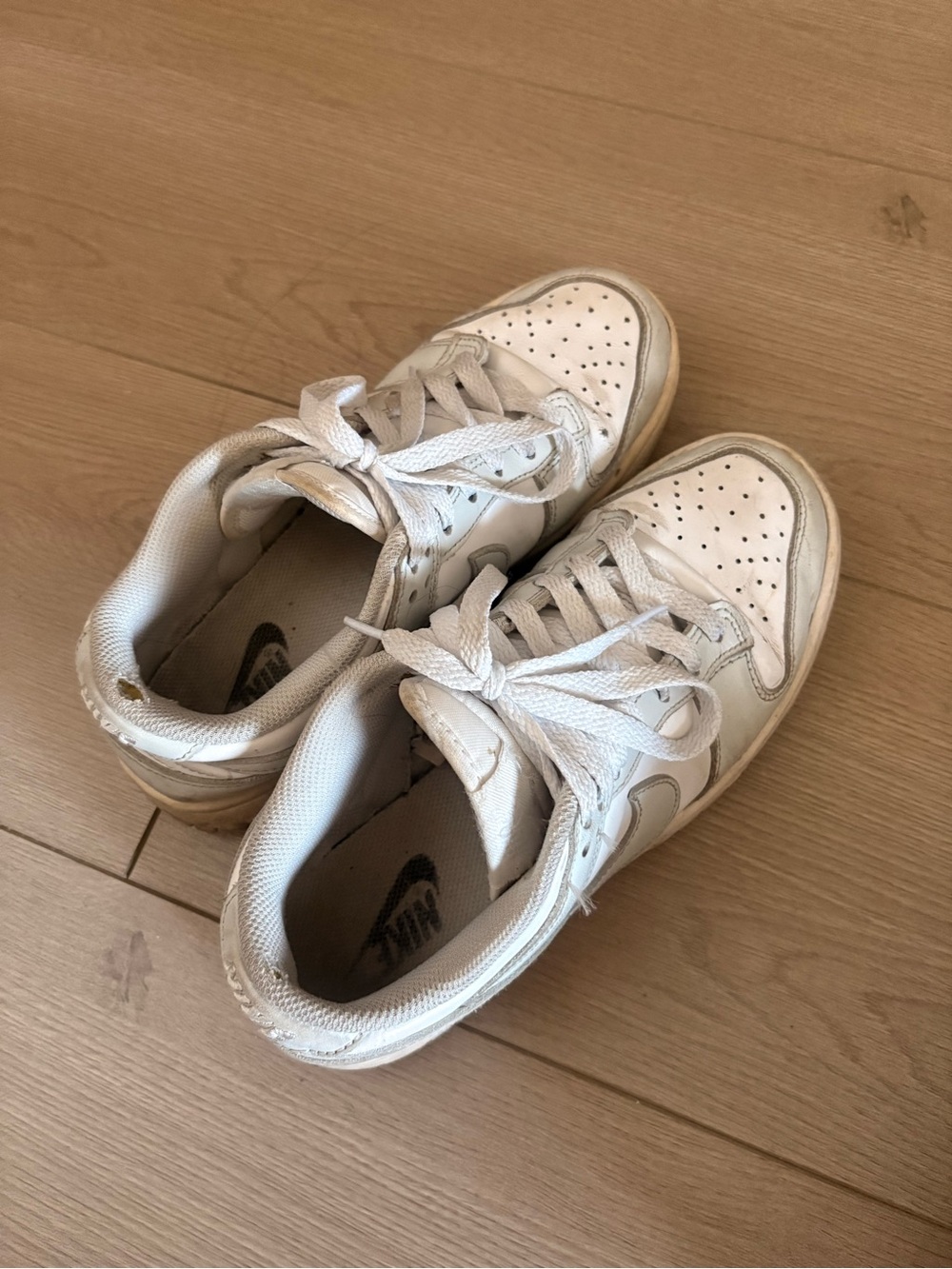 Nike Dunk Low Photon Dust